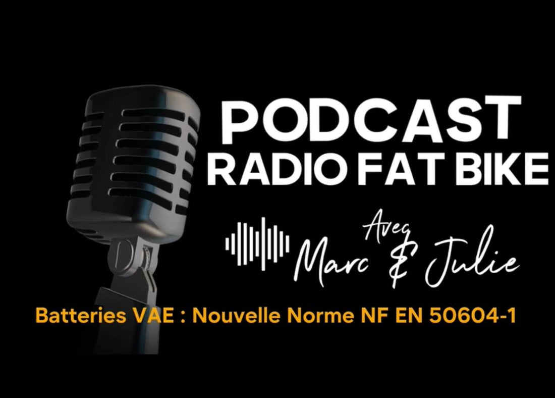 Batteries VAE : Nouvelle Norme NF EN 50604-1 aout 2025