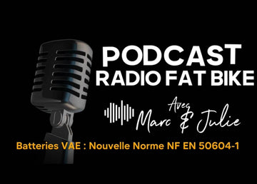 Batteries VAE :  Nouvelle Norme NF EN 50604-1 aout 2025