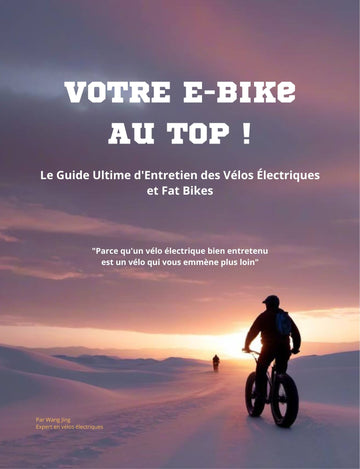 Votre e-bike au top!