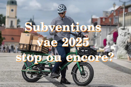 Les subventions pour les VAE, c'est fini en 2025