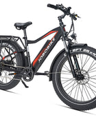 JOBOBIKE Robin moteur Bafang 250W 80Nm Batterie LG 48V 14Ah EN15494