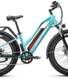 JOBOBIKE Robin ST moteur Bafang 250W 80Nm Batterie LG 48V 14Ah EN15194