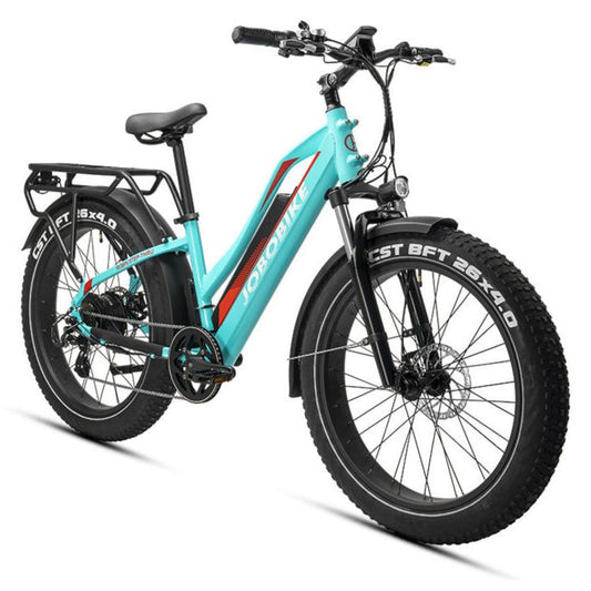 JOBOBIKE Robin ST moteur Bafang 250W 80Nm Batterie LG 48V 14Ah EN15194