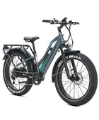 JOBOBIKE Robin ST moteur Bafang 250W 80Nm Batterie LG 48V 14Ah EN15194