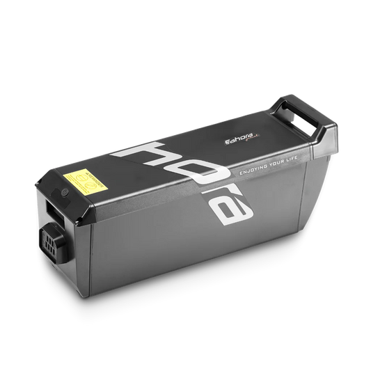 batterie Eahora pour Roméo Pro et Juliette 48V 60Ah