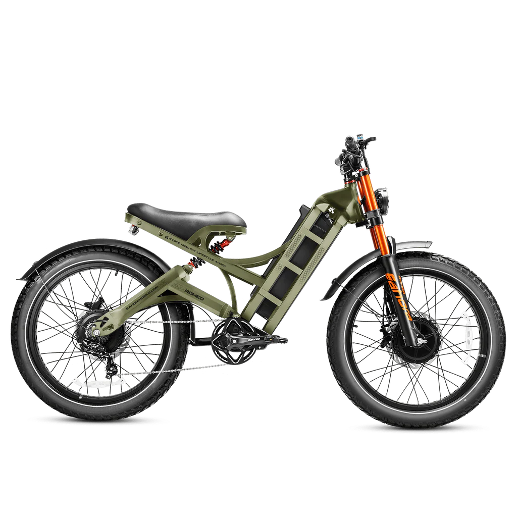 Eahora Romeo Pro 2: 3000W (1500W x 2) 52W 60Ah 100Nm roue de 26 pouces Display avec navigation