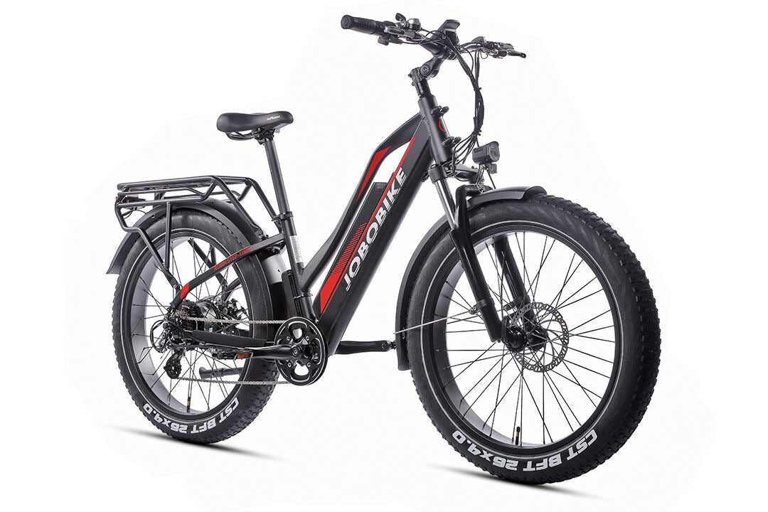 JOBOBIKE Robin ST moteur Bafang 250W 80Nm Batterie LG 48V 14Ah EN15194