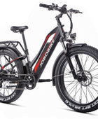 JOBOBIKE Robin ST moteur Bafang 250W 80Nm Batterie LG 48V 14Ah EN15194