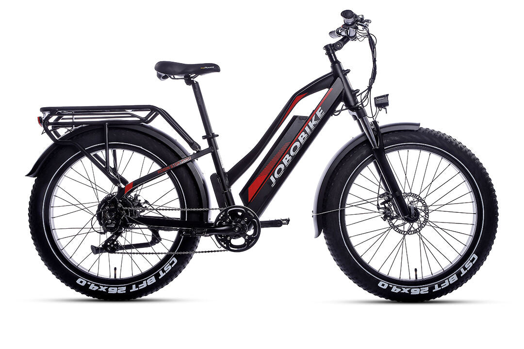 JOBOBIKE Robin ST moteur Bafang 250W 80Nm Batterie LG 48V 14Ah EN15194