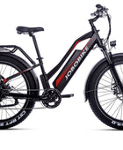 JOBOBIKE Robin ST moteur Bafang 250W 80Nm Batterie LG 48V 14Ah EN15194